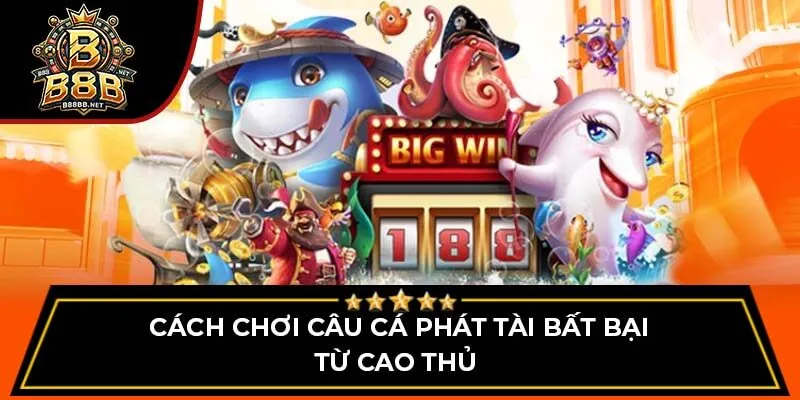 Cách chơi câu cá phát tài bất bại từ cao thủ 